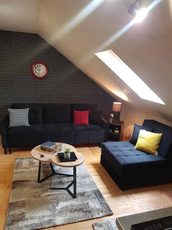 Kraljevi Cardaci, Apartman 7/53 科帕奥尼克 外观 照片
