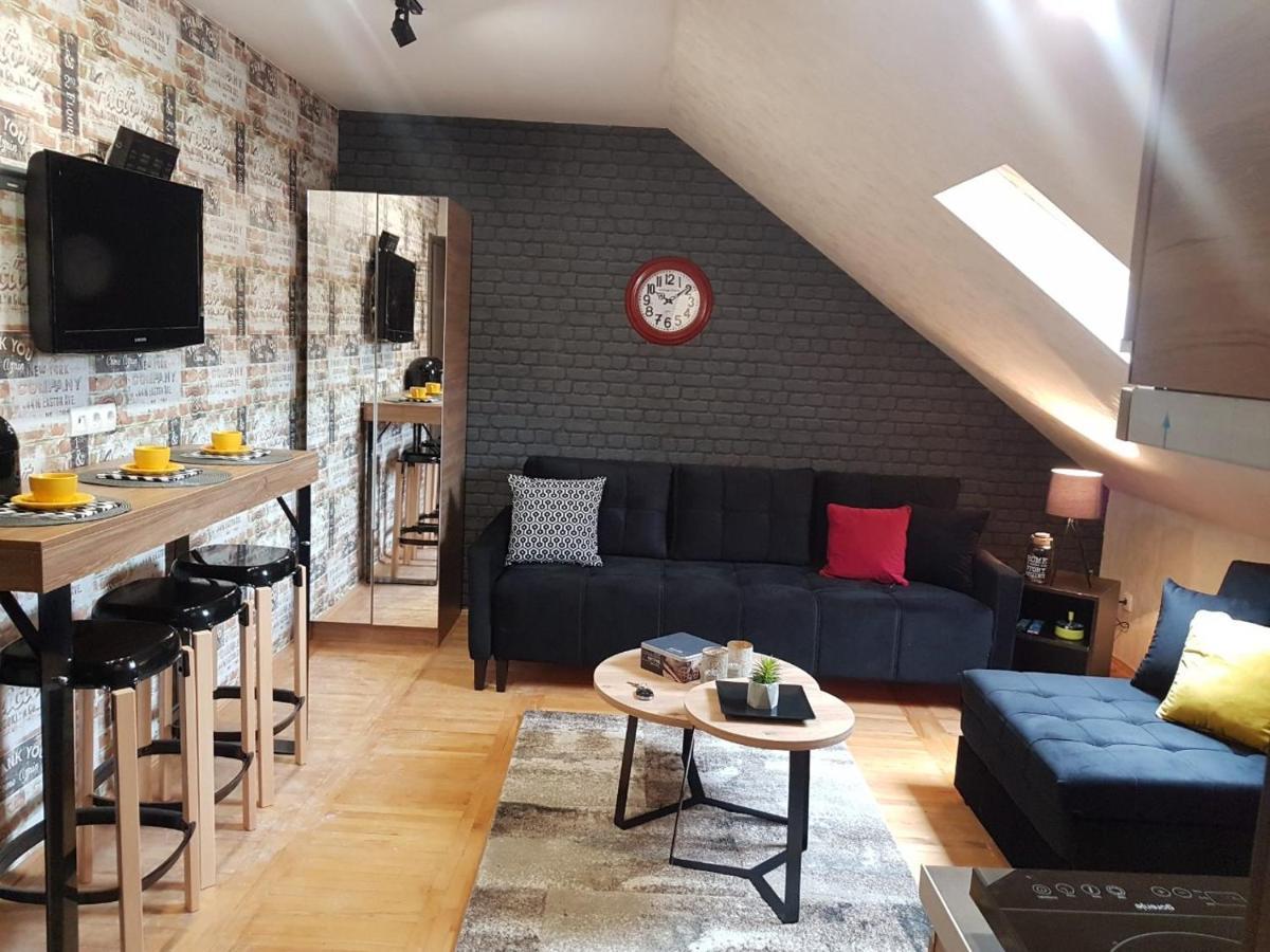 Kraljevi Cardaci, Apartman 7/53 科帕奥尼克 外观 照片